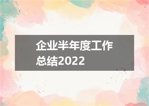 企业半年度工作总结2022