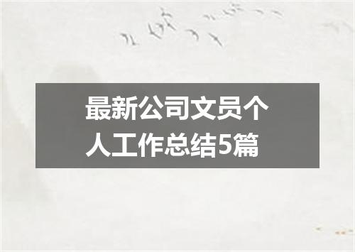 最新公司文员个人工作总结5篇