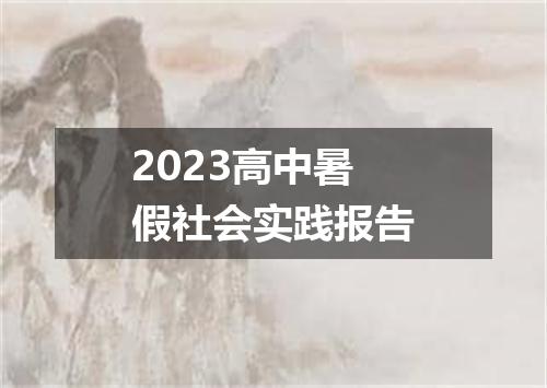 2023高中暑假社会实践报告