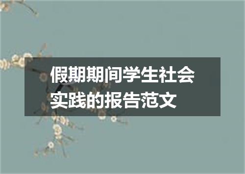 假期期间学生社会实践的报告范文