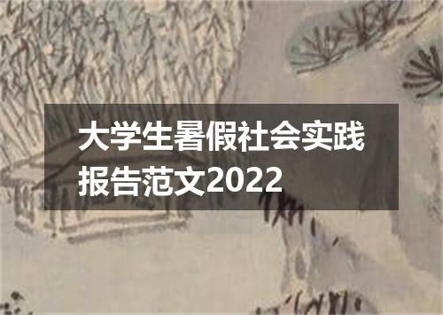 大学生暑假社会实践报告范文2022