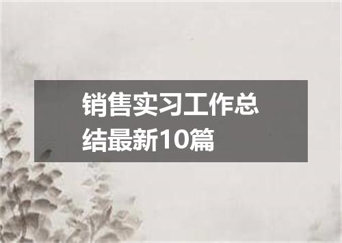 销售实习工作总结最新10篇