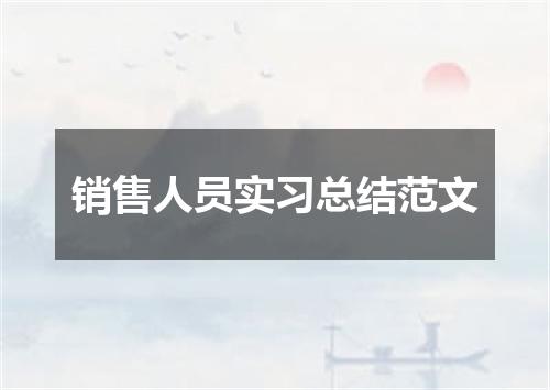 销售人员实习总结范文