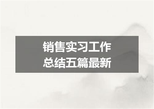 销售实习工作总结五篇最新