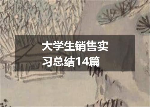 大学生销售实习总结14篇