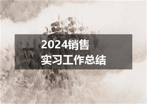 2024销售实习工作总结