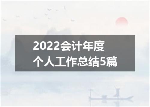 2022会计年度个人工作总结5篇
