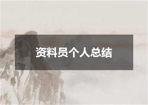 资料员个人总结