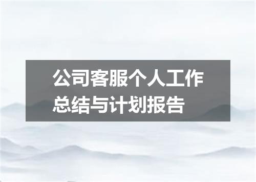 公司客服个人工作总结与计划报告