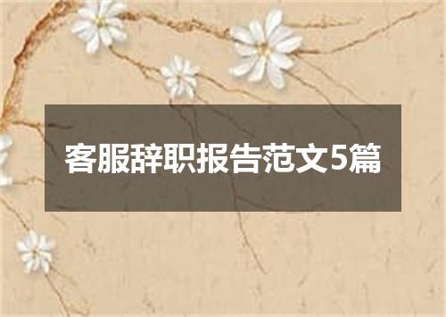 客服辞职报告范文5篇