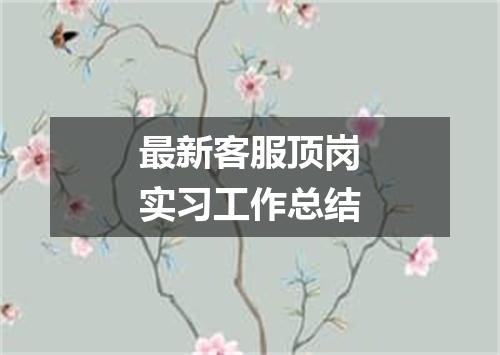 最新客服顶岗实习工作总结