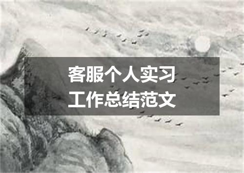 客服个人实习工作总结范文