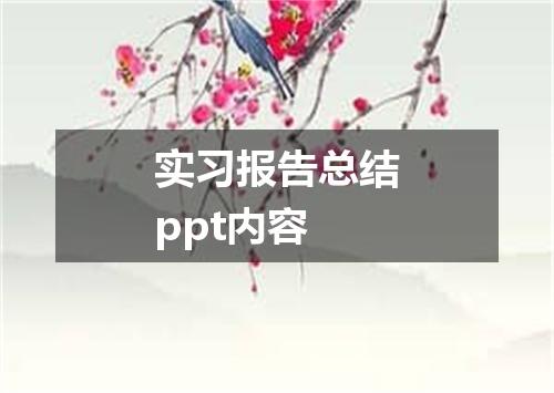 实习报告总结ppt内容