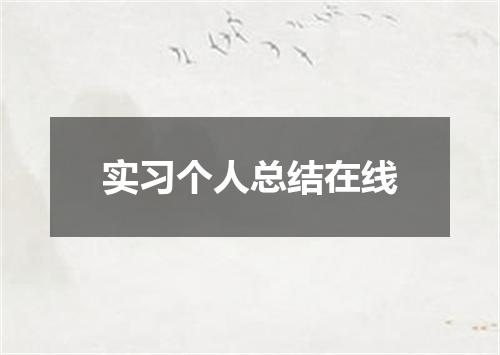 实习个人总结在线
