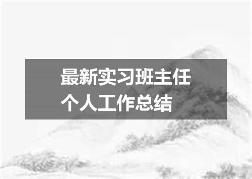 最新实习班主任个人工作总结