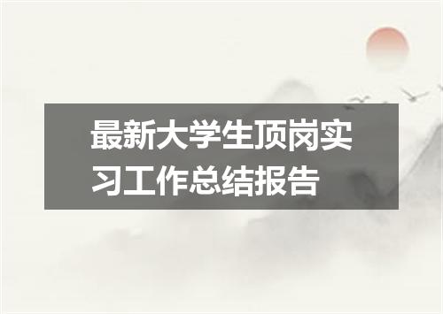 最新大学生顶岗实习工作总结报告