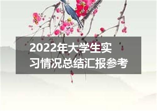 2022年大学生实习情况总结汇报参考