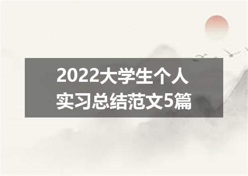 2022大学生个人实习总结范文5篇