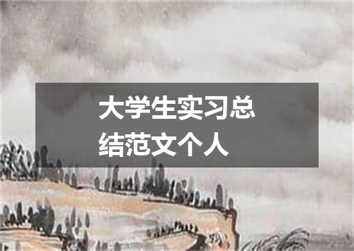 大学生实习总结范文个人