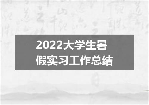 2022大学生暑假实习工作总结