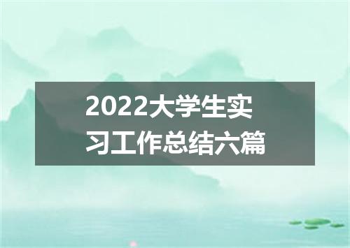 2022大学生实习工作总结六篇