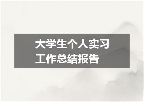 大学生个人实习工作总结报告