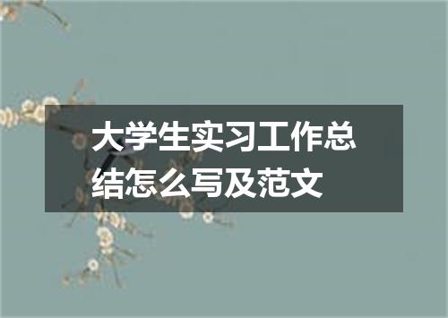 大学生实习工作总结怎么写及范文