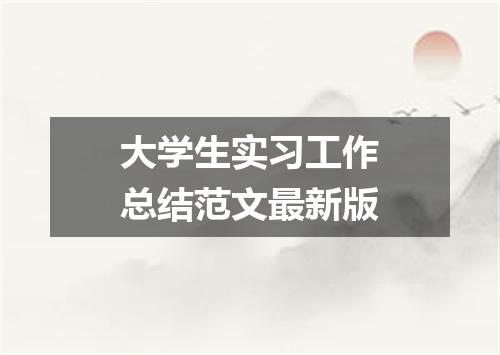 大学生实习工作总结范文最新版