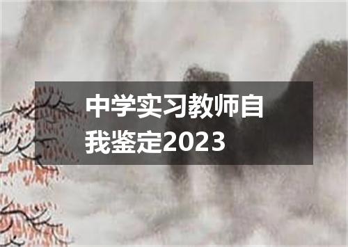 中学实习教师自我鉴定2023