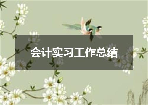 会计实习工作总结