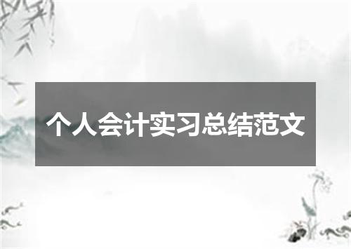 个人会计实习总结范文
