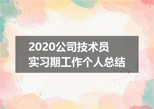 2020公司技术员实习期工作个人总结