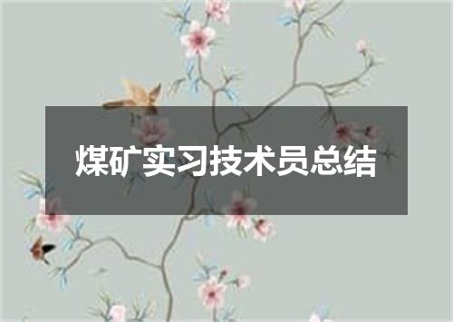 煤矿实习技术员总结