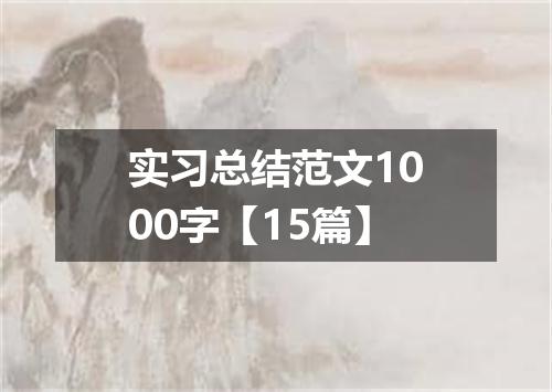 实习总结范文1000字【15篇】