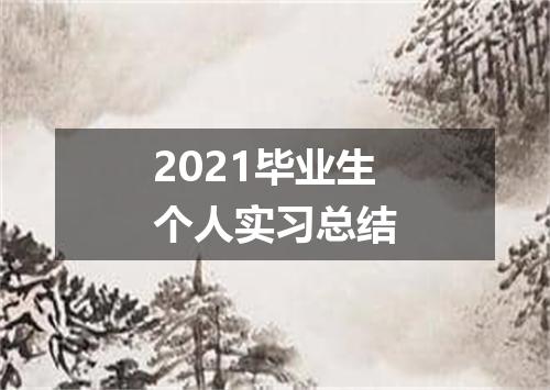 2021毕业生个人实习总结