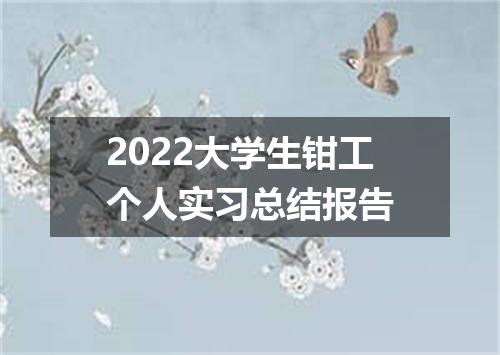 2022大学生钳工个人实习总结报告