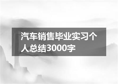 汽车销售毕业实习个人总结3000字