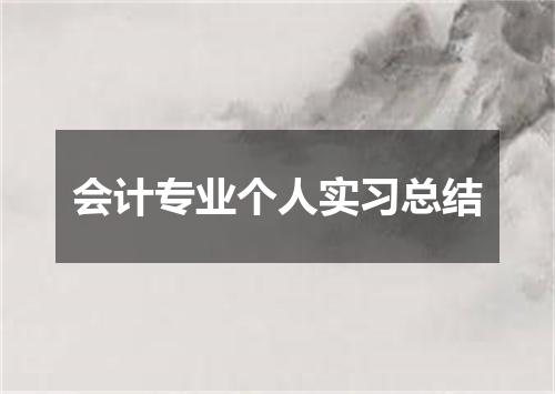 会计专业个人实习总结