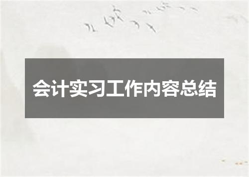 会计实习工作内容总结