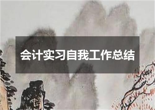 会计实习自我工作总结