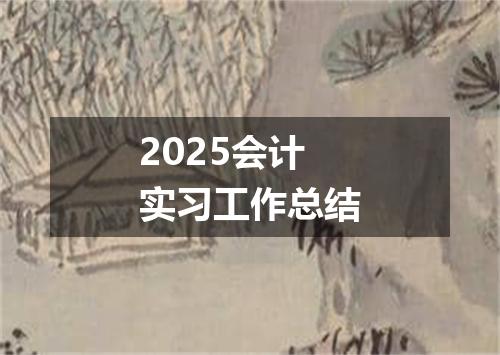 2025会计实习工作总结