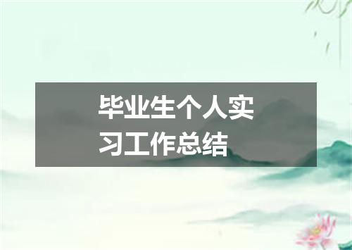 毕业生个人实习工作总结