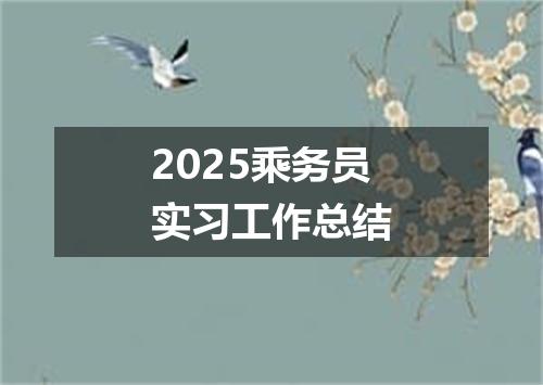 2025乘务员实习工作总结