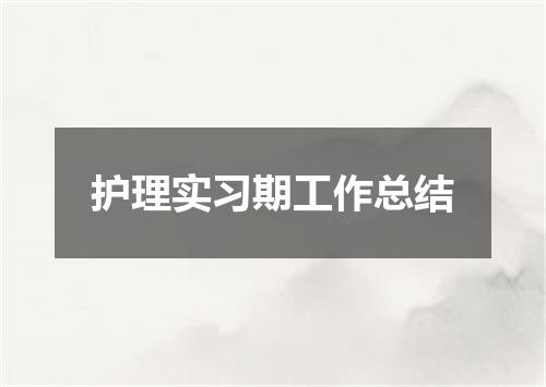 护理实习期工作总结