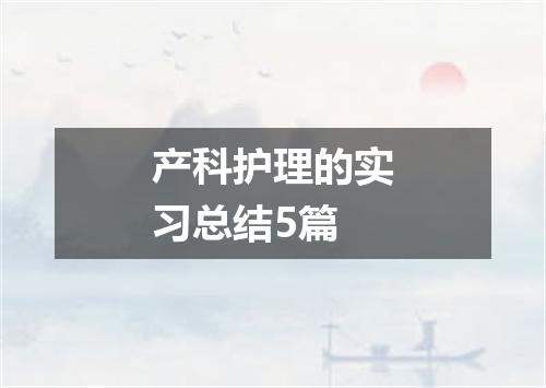 产科护理的实习总结5篇