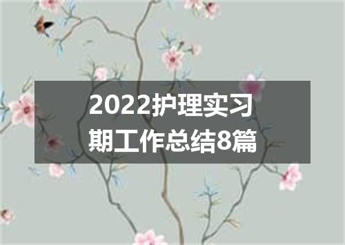 2022护理实习期工作总结8篇
