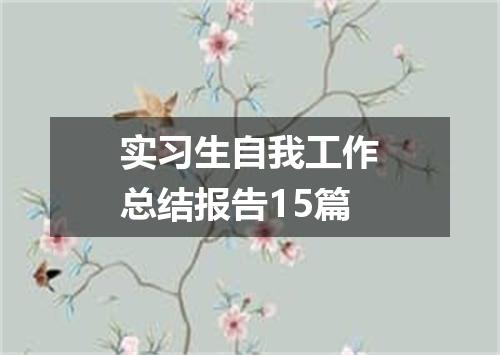 实习生自我工作总结报告15篇