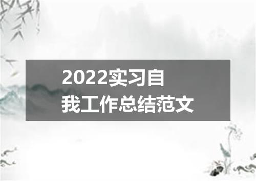 2022实习自我工作总结范文