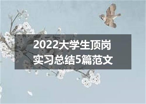 2022大学生顶岗实习总结5篇范文