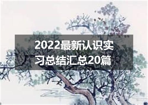 2022最新认识实习总结汇总20篇
